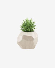 Wooden Tabletop Planter Box for Indoor Display