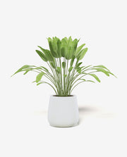 Small Decorative Mini Plant Pot for Home Decor