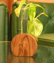 Wooden Display Planter with Glass Tube – Elegant Wood & Glass Indoor/Outdoor Décor